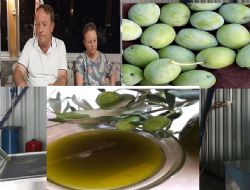 Bakan Murat Orhan bu yl 220 bin ton zeytin rekoltesi beklentimiz var dedi